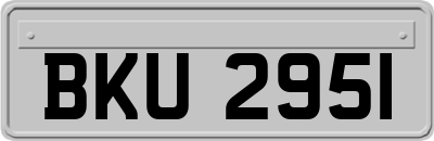 BKU2951