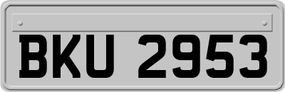 BKU2953