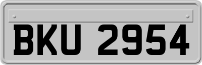 BKU2954