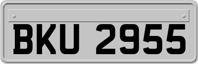 BKU2955