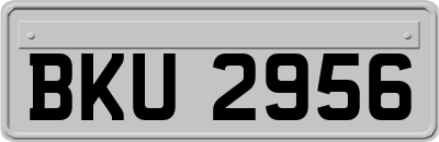 BKU2956