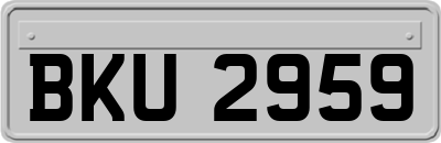 BKU2959
