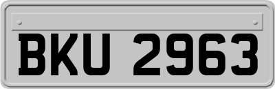 BKU2963