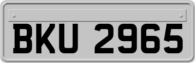 BKU2965