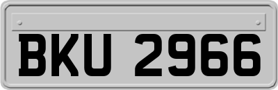 BKU2966