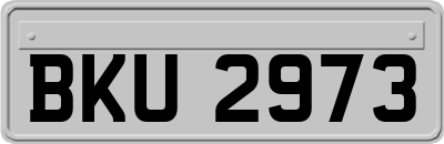 BKU2973