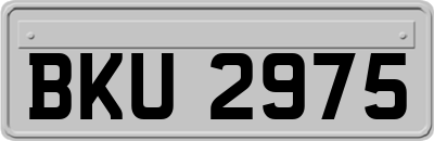 BKU2975