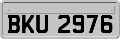 BKU2976