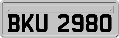 BKU2980
