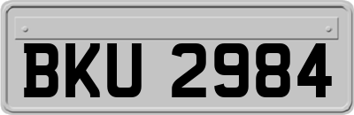 BKU2984
