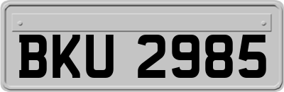 BKU2985