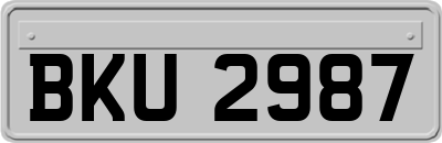 BKU2987