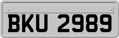 BKU2989