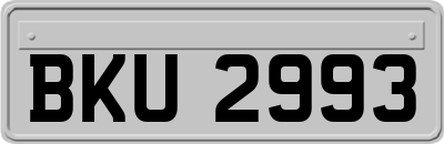 BKU2993