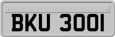 BKU3001