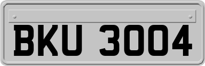 BKU3004