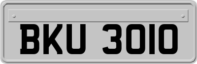 BKU3010