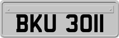 BKU3011
