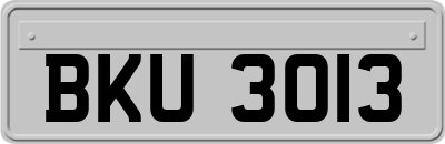 BKU3013
