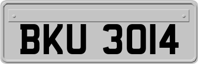 BKU3014