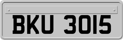 BKU3015