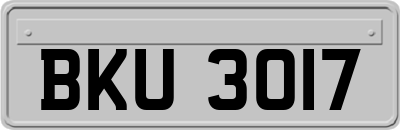 BKU3017