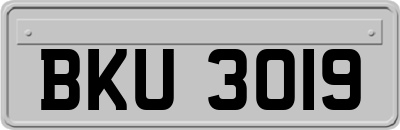 BKU3019