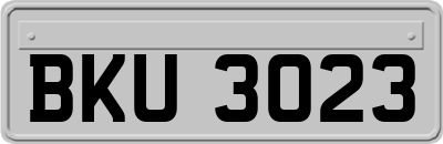 BKU3023