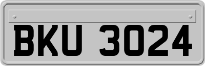 BKU3024