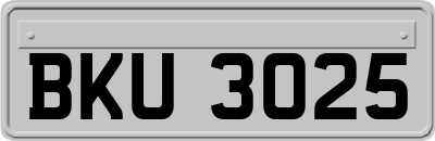 BKU3025
