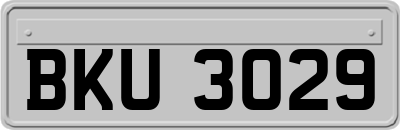 BKU3029