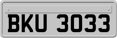 BKU3033