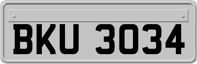 BKU3034