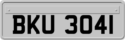 BKU3041