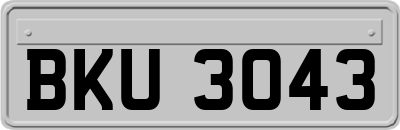 BKU3043