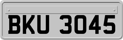 BKU3045