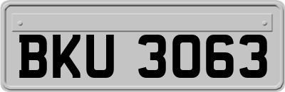 BKU3063
