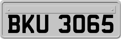 BKU3065