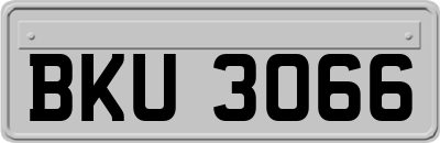BKU3066