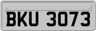 BKU3073