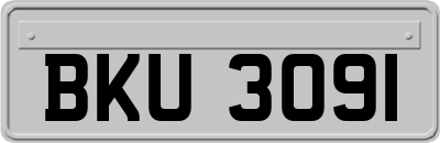 BKU3091