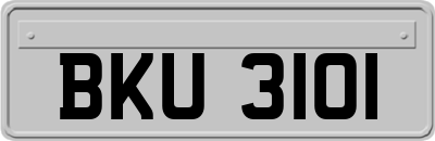 BKU3101
