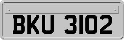 BKU3102