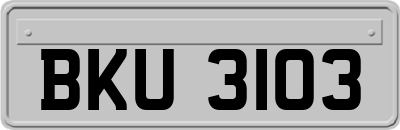 BKU3103