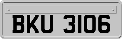 BKU3106
