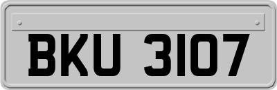 BKU3107