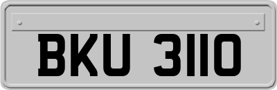 BKU3110