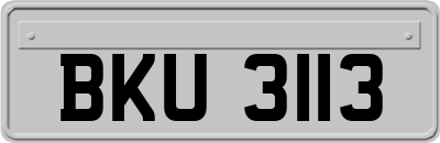 BKU3113