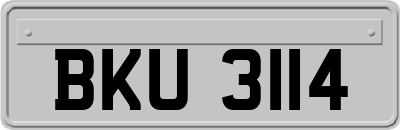 BKU3114