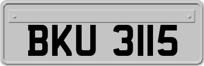 BKU3115